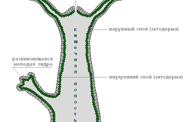 Ссылка blacksprut анион