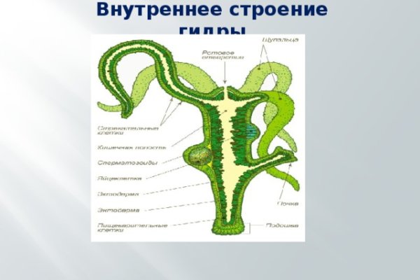 Blacksprut и другие площадки